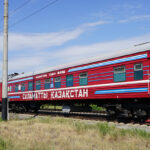 Ауылдағы ағайынды тегін емдейді