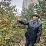 Жан-жағын жасыл желекке айналдырды