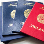 Жағдайың қалай,  ауыл дәрігері?