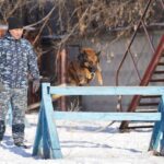 Қарияны құтқарған Джэк