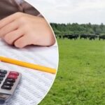 Шаруашылықтар автоматты түрде ауысады