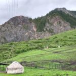 Тарту жасалды