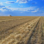 Пайдалану мерзімі ұзартылды