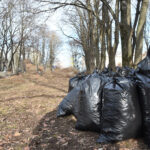 Көшелер ретке келтірілді