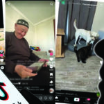 «TikTok» қандай тәрбие береді?