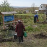 Ағаш көшеттері отырғызылды