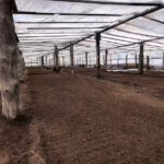 Шаруашылықта жұмыс қызу