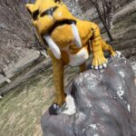 Ертіс жағасындағы тарих